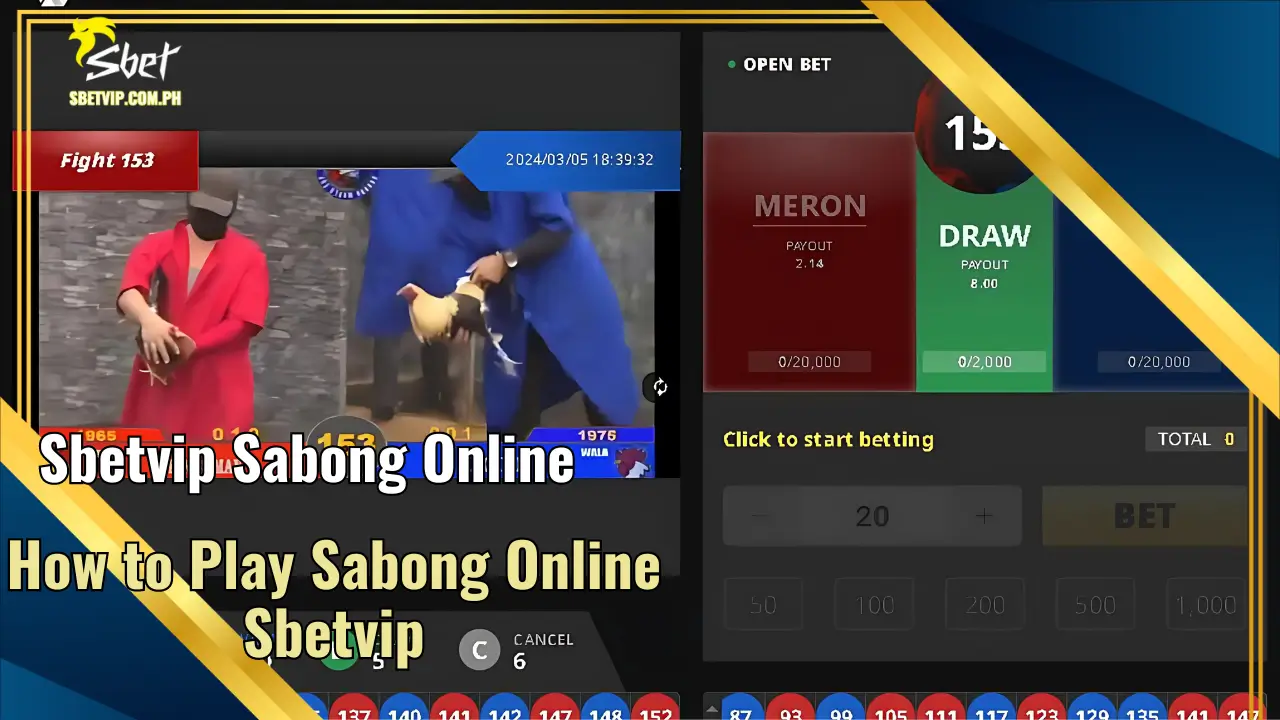 6 Steps Instructions for Playing Sabong Online on Sbetvip