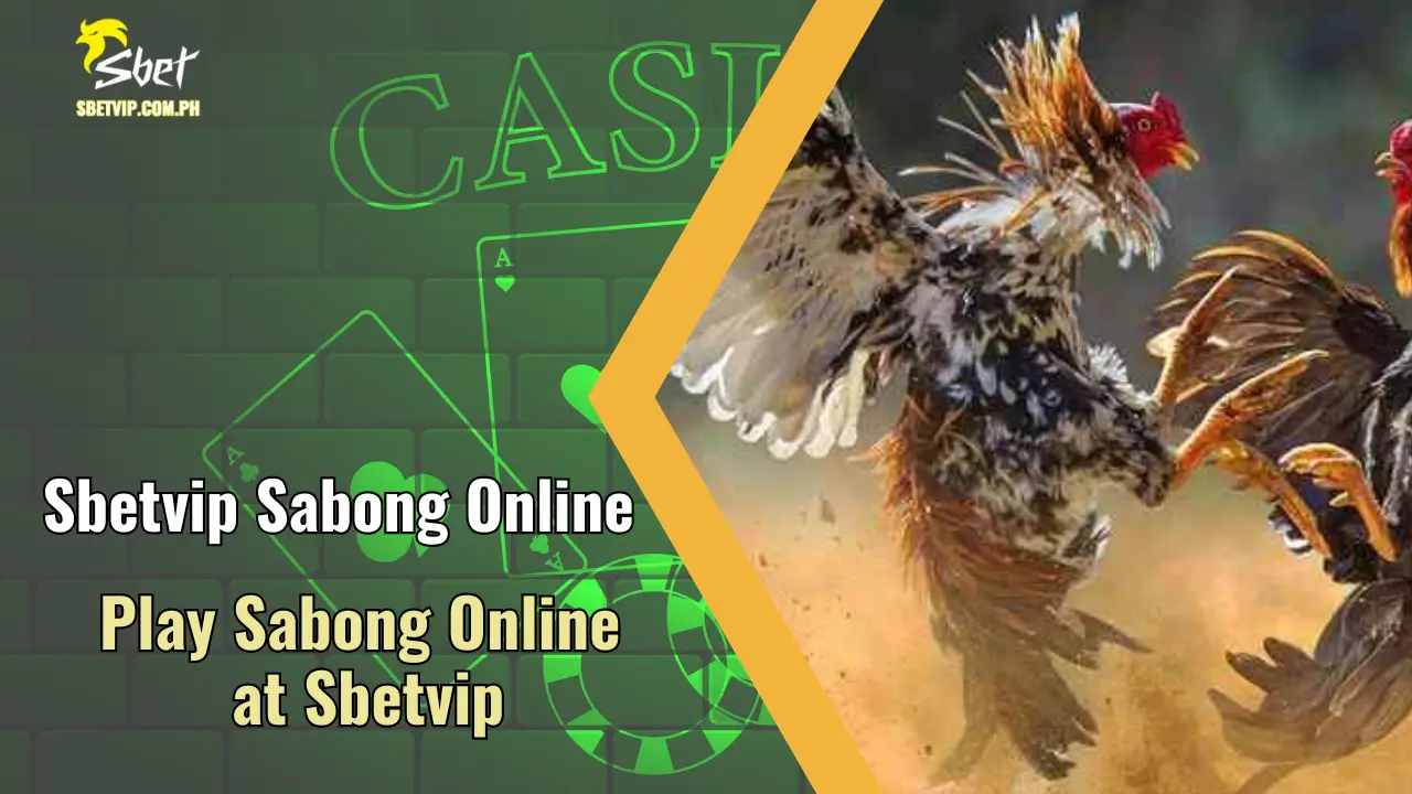 Play Sabong Online at Sbetvip